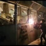 violencia de Morena